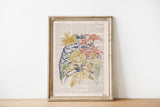 Colored Rib Cage Bones Engraving Anatomical Wall art print