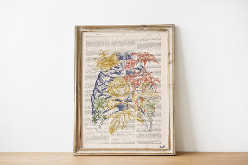 Colored Rib Cage Bones Engraving Anatomical Wall art print