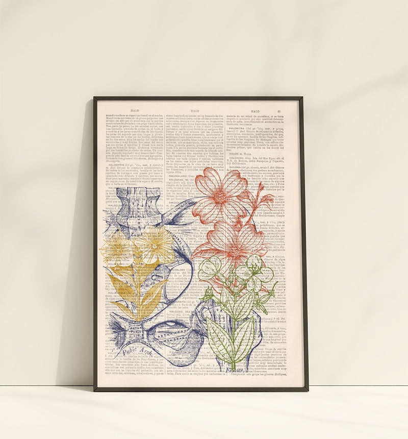 Colored Hip Bones Engraving Science and Anatomical Wall art print