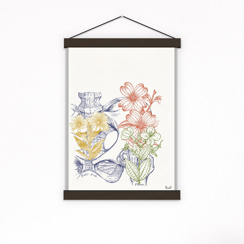 Colored Hip Bones Engraving Science and Anatomical Wall art print