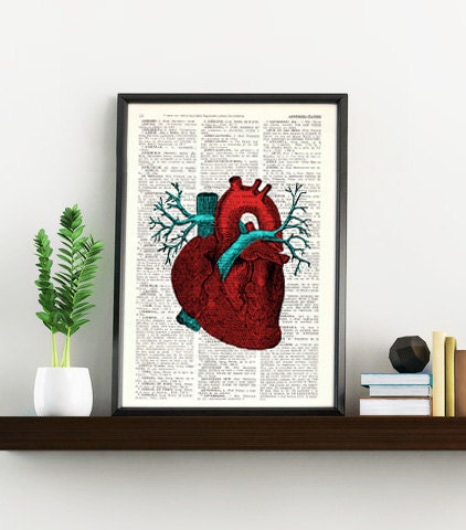 Human Heart Anatomy study art