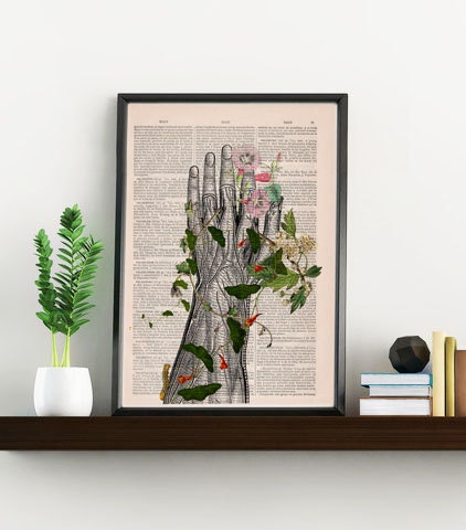 Human hand with flowers Anatomy Print