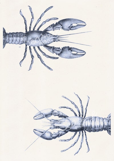 Blue Print decor Lobsters couple
