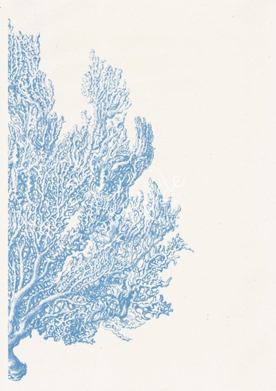 Light blue Sea fan coral no4