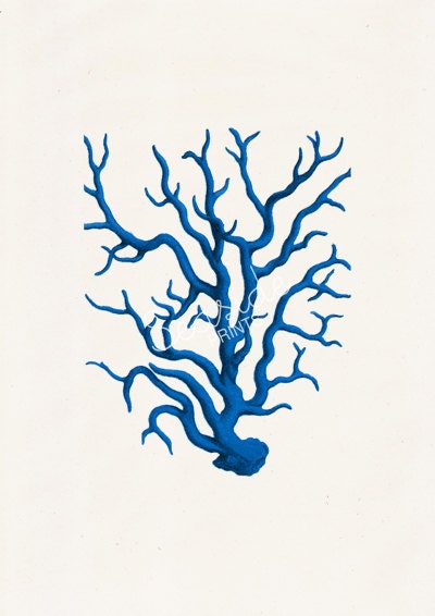 Blue coral - sea life print