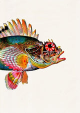 Sea Fish Monkfish sea life print