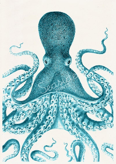 Giant Blue Octopus Nautical Print