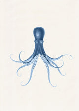 Blue octopus nº29  sea life art