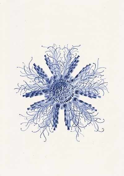 Jellyfish Cistoidea 07 in blue
