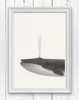 Whale sea life print