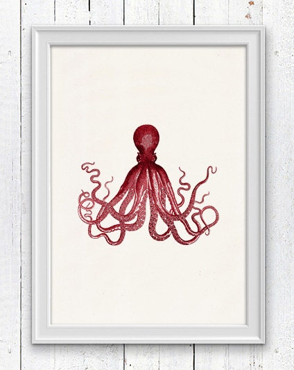 Gorgeous Red octopus no.16