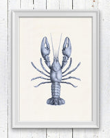 Blue Lobster sea life print