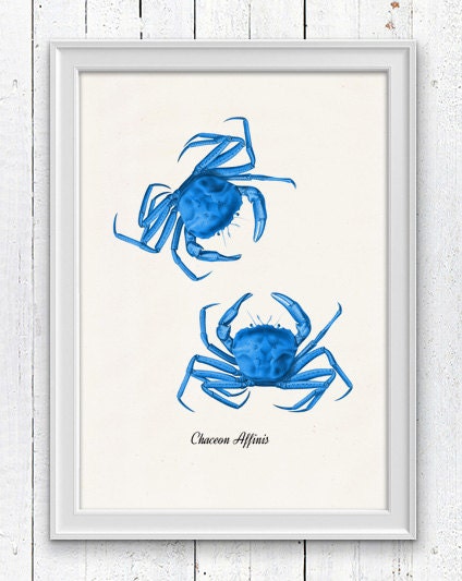 Blue Crabs  sea life print