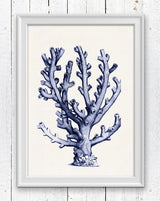 Coral in blue n09 sea life print