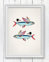 Flying Fish Sea fish print