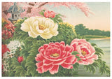 Oriental Peony Flowers Poster