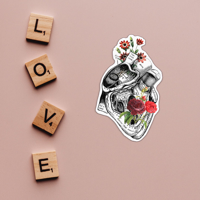 Anatomy and flowers stickers