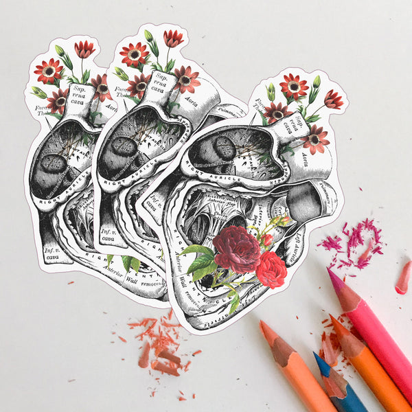 Anatomy and Roses heart Stickers set