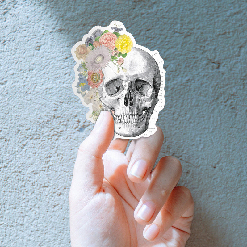 Soft colors Human Anatomy Stickers